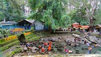Tiket masuk wisata alam Cipaniis, setiap pengunjung dewasa dikenakan biaya sebesar Rp 15 ribu per orang. Sementara untuk anak-anaknya, harga tiket Rp 15 ribu tersebut berlaku untuk dua orang.