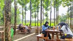 Bersantai Sambil Ngopi Seru di Tengah Kebun Jati Hits di Ciamis