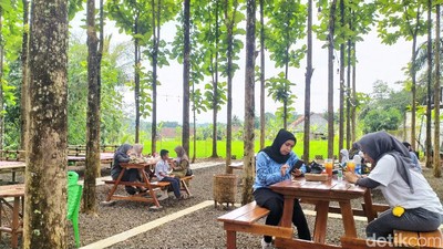 Bersantai Sambil Ngopi Seru di Tengah Kebun Jati Hits di Ciamis