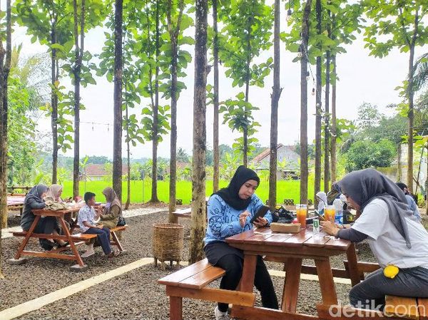 Bersantai Sambil Ngopi Seru di Tengah Kebun Jati Hits di Ciamis