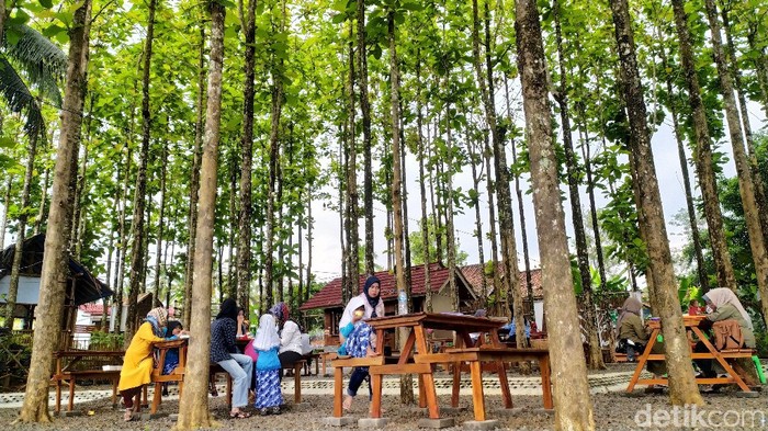 Ngopi Cantik di Kebun Jati di Ciamis Ini Sedang Hits Ngopi Cantik di Kebun Jati di Ciamis Ini Sedang Hits