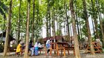 Bersantai Sambil Ngopi Seru di Tengah Kebun Jati Hits di Ciamis