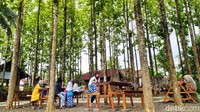 Kafe ini bisa jadi rekomendasi untuk menghabiskan waktu libur bersama keluarga tetapi tetap perhatikan protokol kesehatan. Foto: detikFood/Dadang Hermansyah