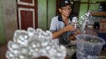 Sugu Tinggi Khas Dayak Iban Laris Manis di Pasar Malaysia