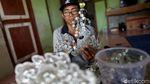 Sugu Tinggi Khas Dayak Iban Laris Manis di Pasar Malaysia