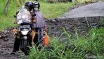 Daya Pikat Merapi dan Anjing Kesayangan