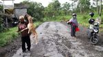 Daya Pikat Merapi dan Anjing Kesayangan