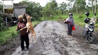 Jarak Deles dengan puncak Gunung Merapi kurang lebih 6,5 Km.