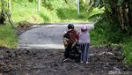 Daya Pikat Merapi dan Anjing Kesayangan