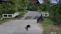 Di Kabupaten Kapuas Hulu, yang berbatasan langsung dengan Malaysia ini sepeda motor tetap aman meski ditinggal begitu saja oleh pemiliknya di tepi jalan.