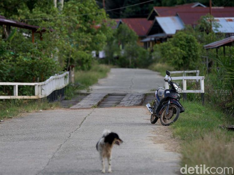 Foto: Cerita Unik Perbatasan, Motor Ditinggal Pinggir Jalan Tetap Aman