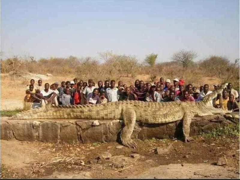 Foto perspektif berbeda