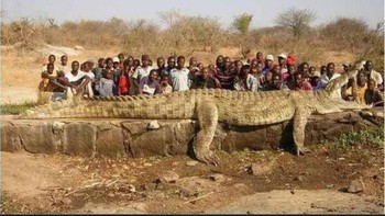 Ini bukan buaya raksasa, tapi warga desa berdiri lebih jauh dari pada buayanya di hadapan kamera (Foto: Reddit)