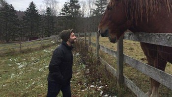 Kuda bermulut dua? Bukan, ini karena masalah perspektif saja (Foto: Reddit)