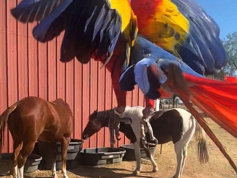 Foto perspektif berbeda