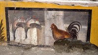 Tampak dalam gambar itu bebek mallard dan ayam jago yang disajikan dengan anggur atau minuman panas. (Foto: AP/Luigi Spina)