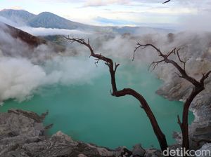 Hari Pertama Buka di Tahun 2021, Kawah Ijen Sepi