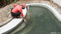 Di sekitar Seke Genjer juga ditambah beberapa fasilitas pendukung seperti kolam terapi, MCK, dan balkon serta kursi taman. Bentuk yang dipercantik juga menjadi bonus agar bisa menjadi ruang publik untuk bersosialisasi antar masyarakat. 