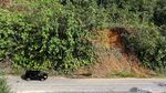 Mengenal Yudhi Ndut Sopir Taksi Lintas Negara