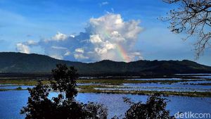 Menikmati Sore di Danau Sentarum