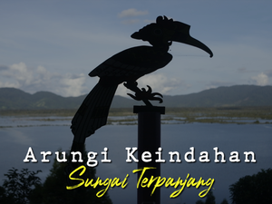 Nikmatnya Perjalanan Menyusuri Sungai Kapuas Menuju Danau Sentarum