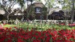 Intip Neverland Ranch, Properti Peninggalan Michael Jackson
