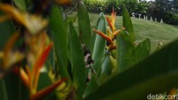 Tim detikTravel melakukan Road Trip Jakarta-Bali menggunakan mobil hybrid dari Toyota. Bersama dengan detikOto, detikFood, detikFoto dan 20Detik, tim menjajal sudut-sudut Bali yang sedang bergeliat di tengah pandemi.