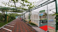 Baloga adalah destinasi wisata baru yang dibuat oleh Jatim Park Grup. Destinasi wisata itu menyimpan beragam jenis bunga, buah, dan sayur. (Muhammad Aminudin/detikTravel)