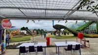 Jika kondisi cerah, wisatawan bisa menikmati lokasi itu dengan latar Gunung Arjuno. Baloga juga bekerjasama dengan peneliti dari Universitas Muhammadiyah Malang (UMM) dan Universitas Brawijaya (UB) dan Balai Penelitian Tanaman Jeruk dan Buah Subtropika (Balitjestro). (Muhammad Aminudin/detikTravel)