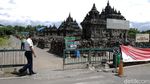 Candi Plaosan Ditutup Sementara