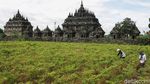 Candi Plaosan Ditutup Sementara