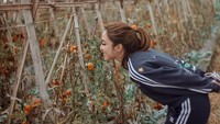 Jalan-jalan di kebun tomat, Gisel menjadikan spot ini sebagai tempat berfoto. Meskipun simpel tapi tetap terlihat seperti model profesional. Foto: instagram @gisel_la