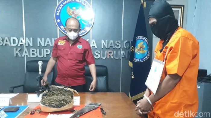 mantan atlet voli jadi kurir ganja