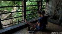 Suku Dayak merupakan suku asli Kalimantan, pulau besar yang dikenal dengan sebutan Borneo. Suku Dayak di Kalimantan menghuni dataran tinggi, pedalaman hutan, dan di sepanjang pinggiran sungai pulau ini.