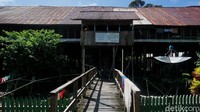 Sungai itu menjadi sangat berperan penting bagi kehidupan masyarakat Dayak yang tinggal di pinggiran sungai karena berfungsi sebagai penyedia makanan dan minuman.