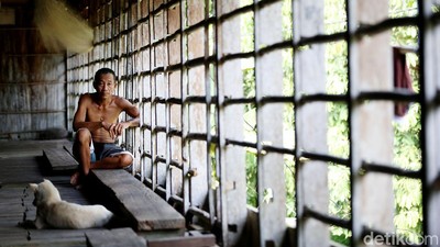Potret Kehidupan Suku Dayak Taman di Rumah Betang Semangkok