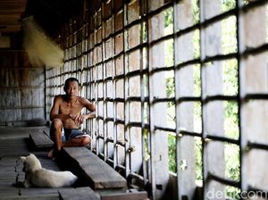 Potret Kehidupan Suku Dayak Taman di Rumah Betang Semangkok
