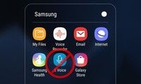 Samsung S Voice