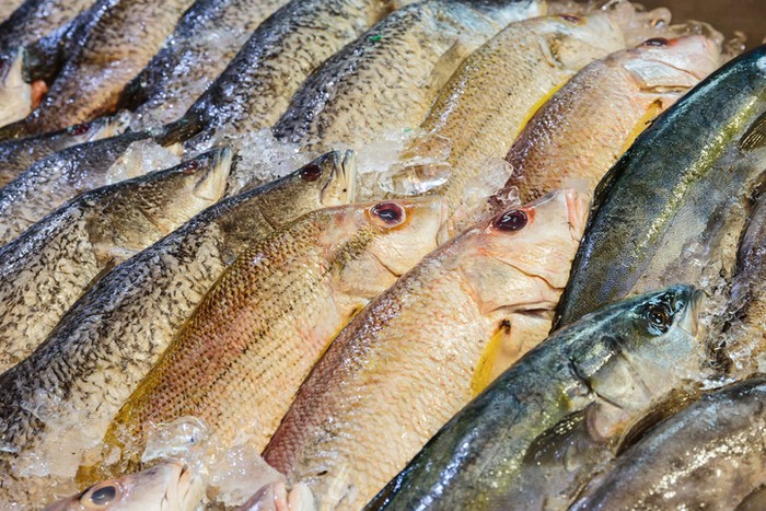 Thailand Bikin Sertifikasi Seafood