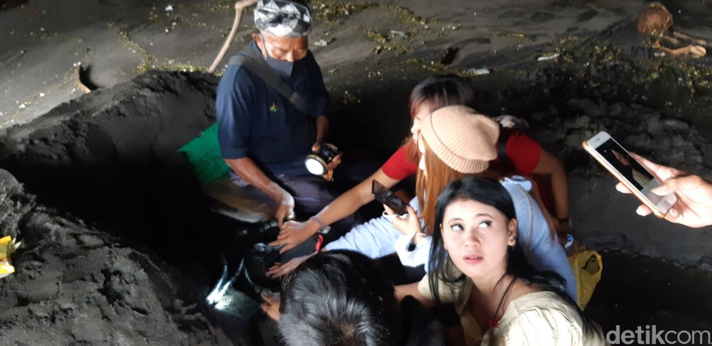 Ular Suci Pura Tanah Lot