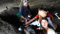 Tak perlu takut, karena ular ini jinak. (Bonauli/detikcom)