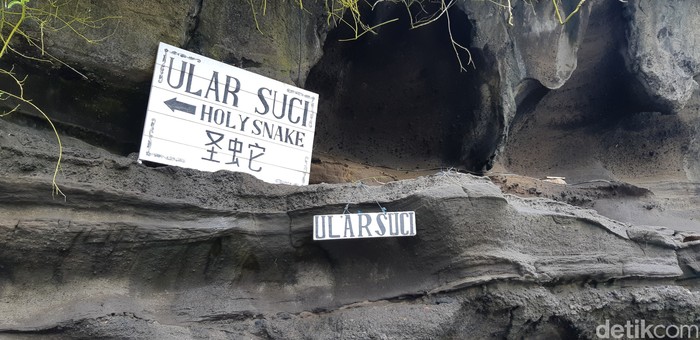 Ular Suci Pura Tanah Lot