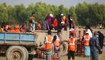 Ribuan Pengungsi Rohingya Kembali Direlokasi ke Pulau Terpencil