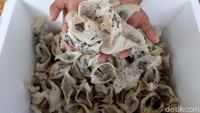 Secara gamblang ia menyebut setiap bulan bisa mengumpulkan 7-8 kilogram sarang walet. Setiap kilogram dihargai Rp 12-14 juta oleh pengepul yang datang langsung ke rumah Marsel untuk mengambil hasil panen.