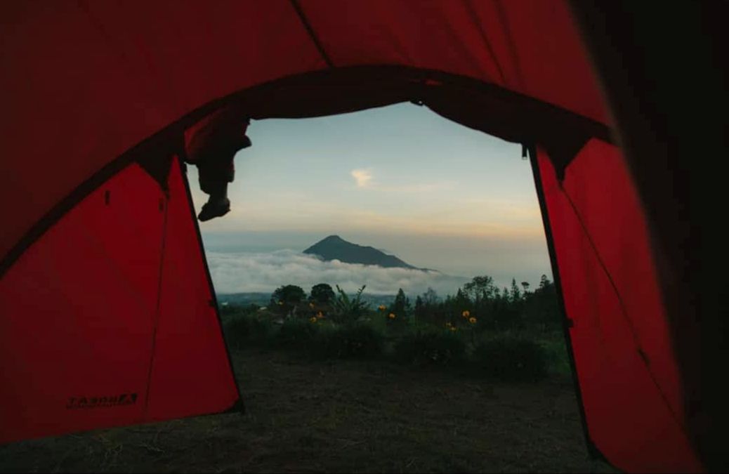 Camping Ground Pinus Cuntel