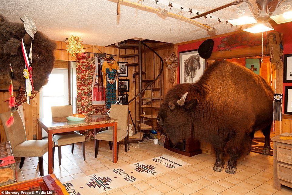 Gokil! Pasangan Ini Hidup dan Makan Bareng Banteng Raksasa di Dalam Rumah