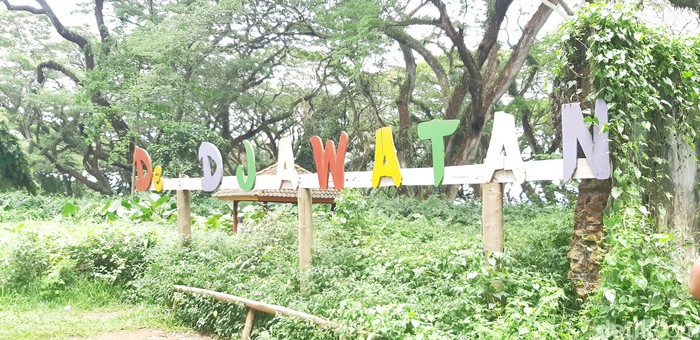Hutan De Djawatan Banyuwangi Hutan De Djawatan Banyuwangi
