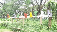 Hutan De Djawatan berjarak 45 menit dari Kota Banyuwangi. (Bonauli/detikcom)