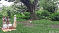 Sangat rindang dan indah, wisatawan biasanya datang untuk piknik dan berfoto. (Bonauli/detikcom)
