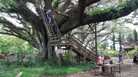Di sana ada rumah pohon yang bisa digunakan oleh wisatawan. (Bonauli/detikcom)